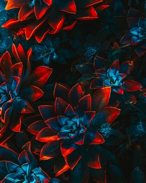 freelance artist floral 4